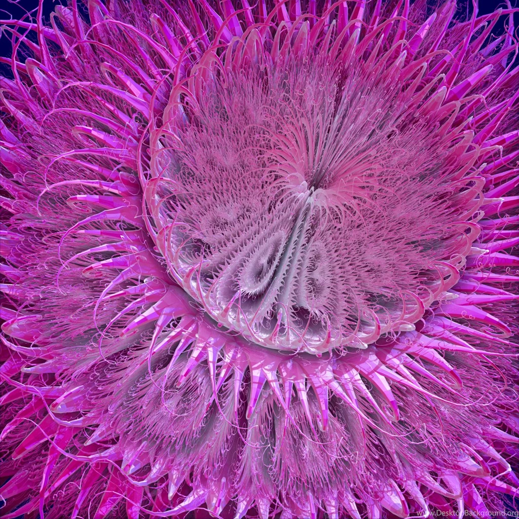Sea Anemone By Aexion On DeviantArt