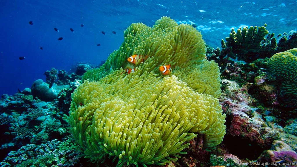 Bing Wallpapers Archive