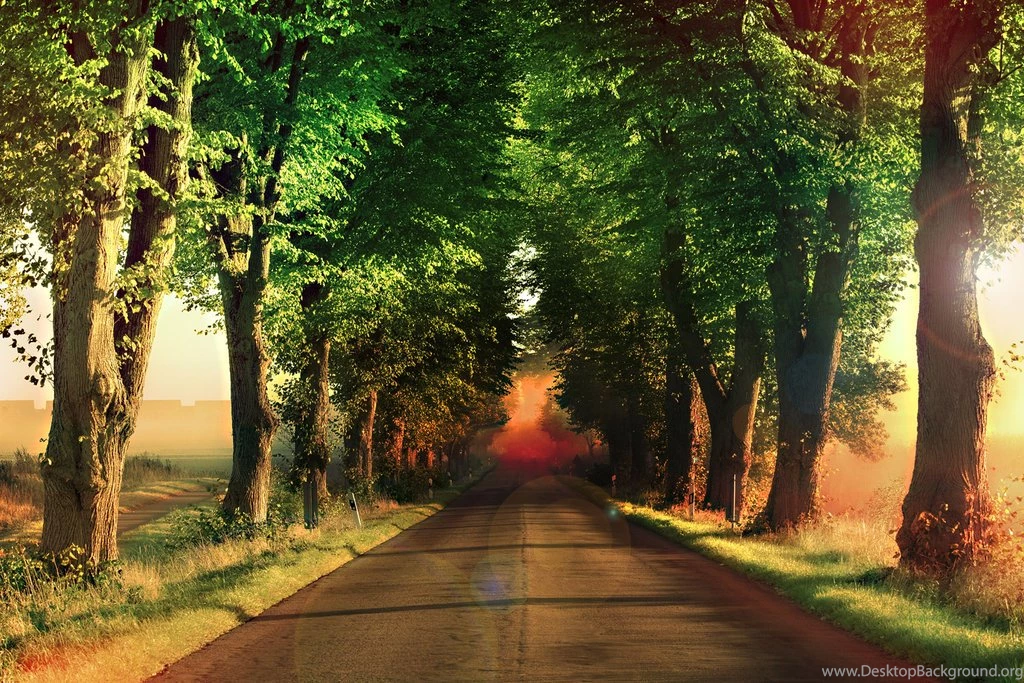 Peace Of Mind Wallpapers   Wallpapers Zone