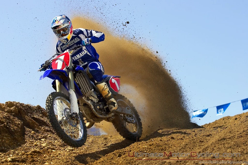 2010 Yamaha 450