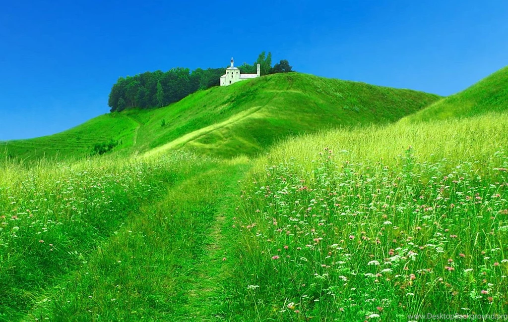 SOOTHING PEACE OF MIND PICTURES