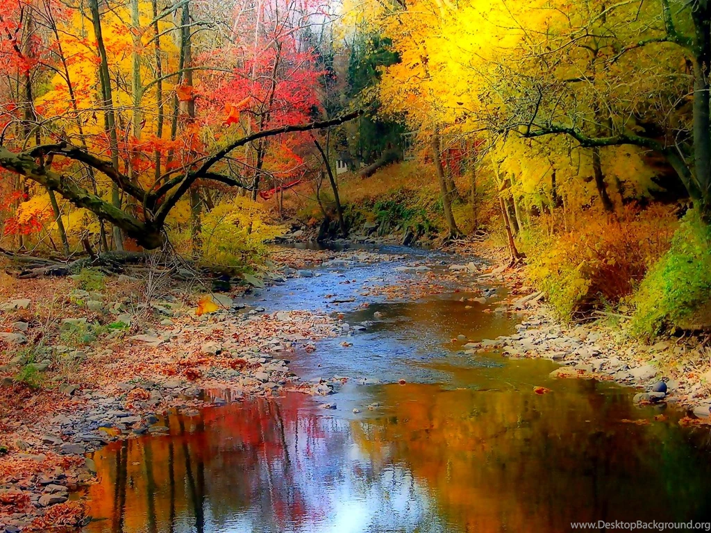 797627 Fall Wallpapers