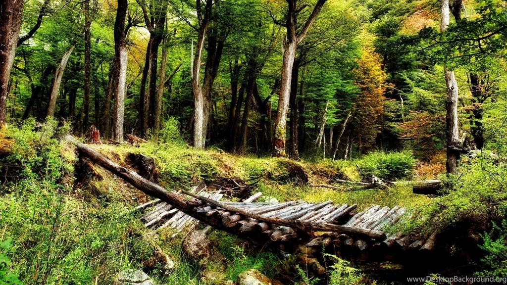 Nature Wallpapers Free Download