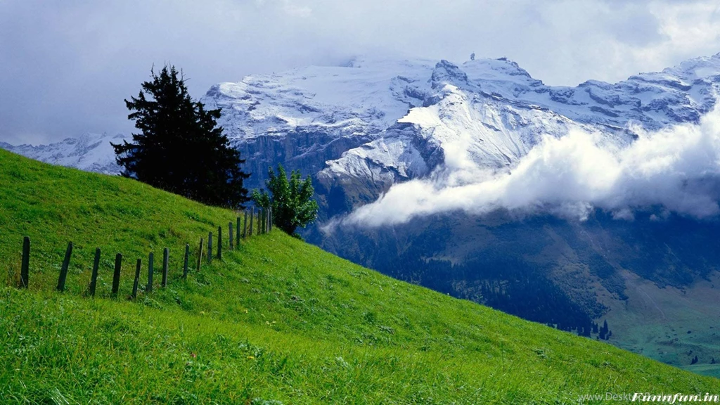 Free Hd Pictures Download_hd Wallpaper_Desktop Wallpapers Free Download