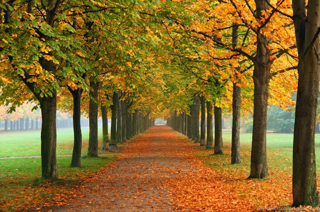 Free Autumn Wallpapers And Backgrounds   Blog Art Designs