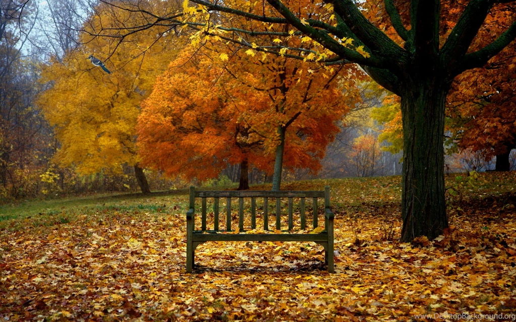 Free Autumn Desktop Wallpapers – 1600×1200 High Definition ...
