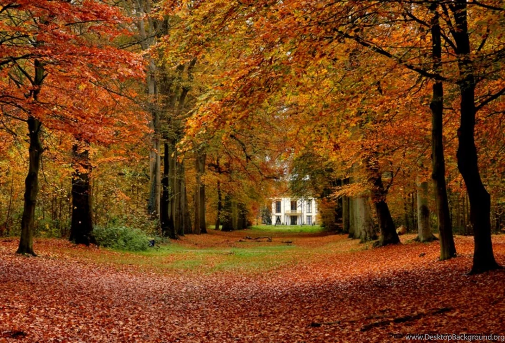Free Autumn Desktop Wallpapers