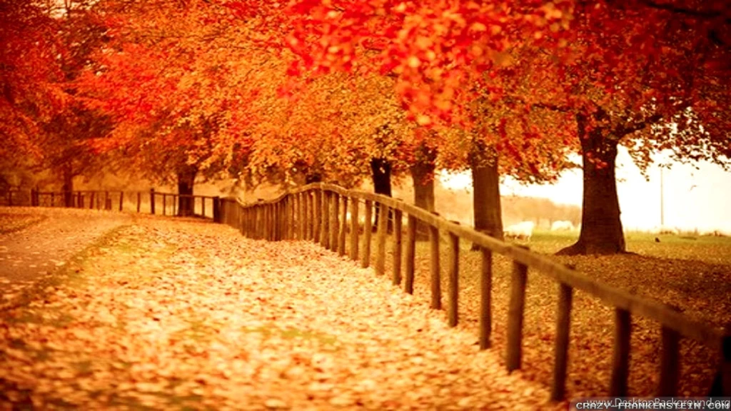 Autumn Wallpapers, Free Desktop Backgrounds Wallpapers Path
