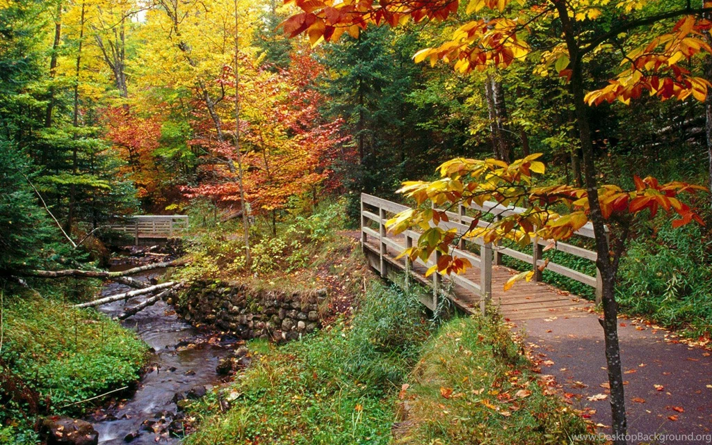 Autumn Mountain Free Wallpapers For Android