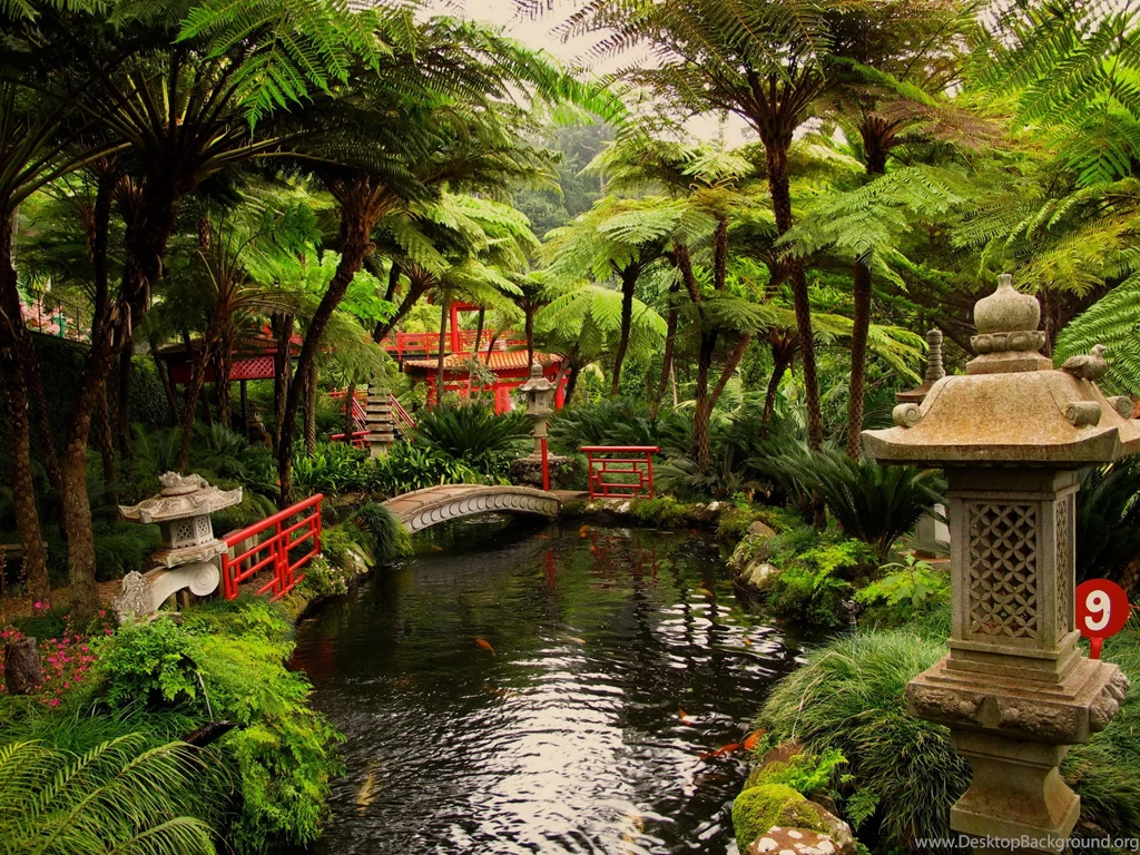 70 Oriental HD Wallpapers