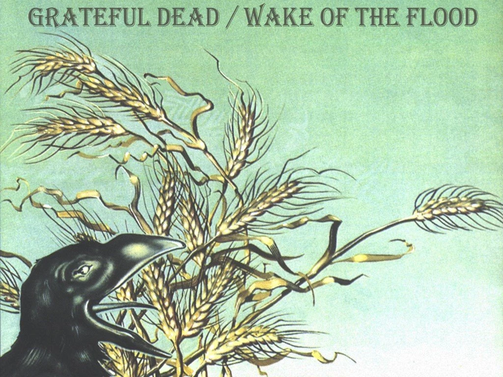 My Free Wallpapers   Music Wallpapers : Grateful Dead   Wake Of The ...