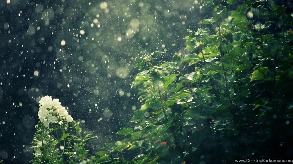 50 Very Neat Rain Wallpapers HD   Over The Top Mag