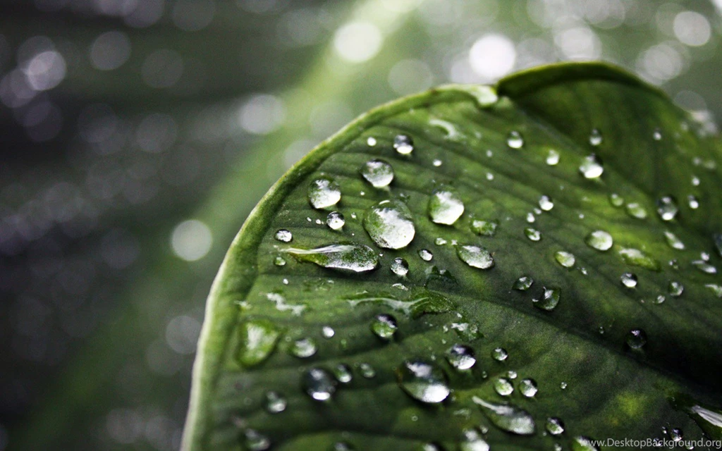 3d Rainfall Wallpapers