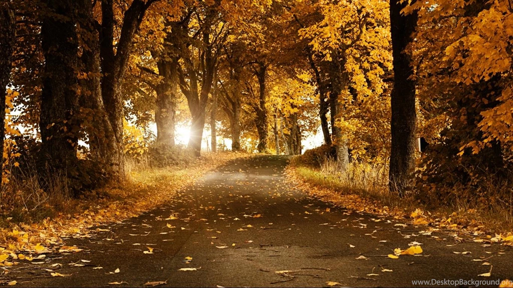 Autumn Backgrounds HD