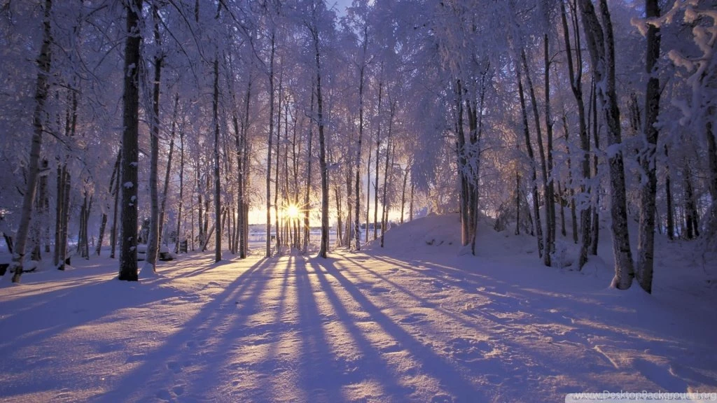 Winter Is Coming HD Desktop Wallpapers : High Definition ...