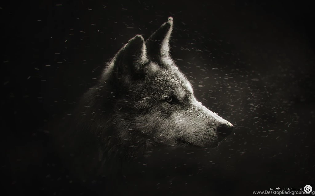 Winter Is Coming By NYClaudioTesta On DeviantArt