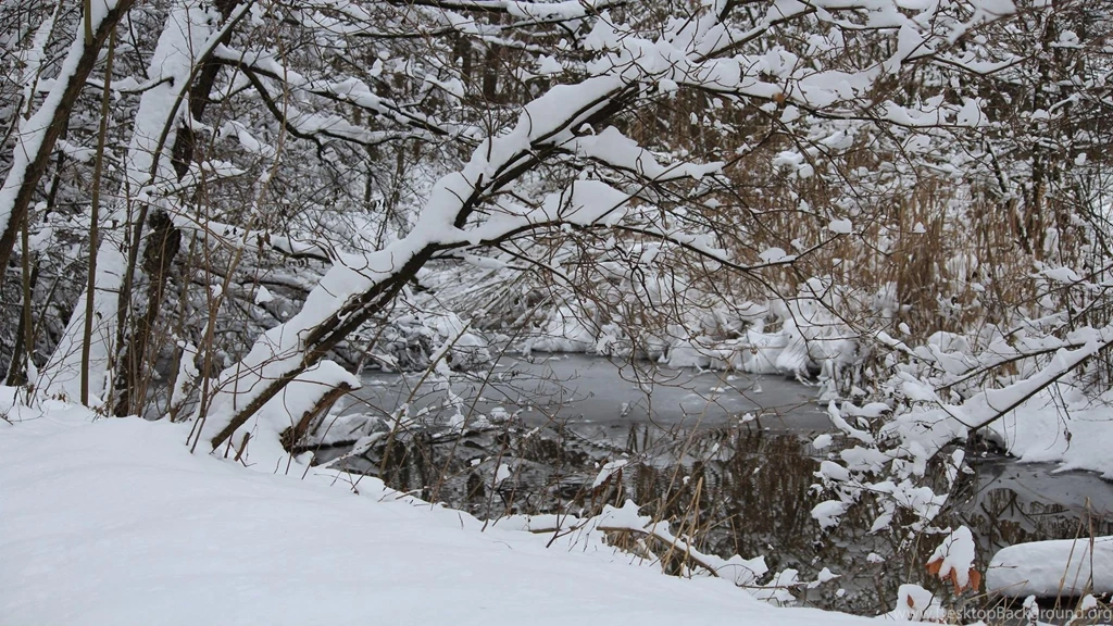 Landscapes Winter Is Coming Woodlands Wallpapers