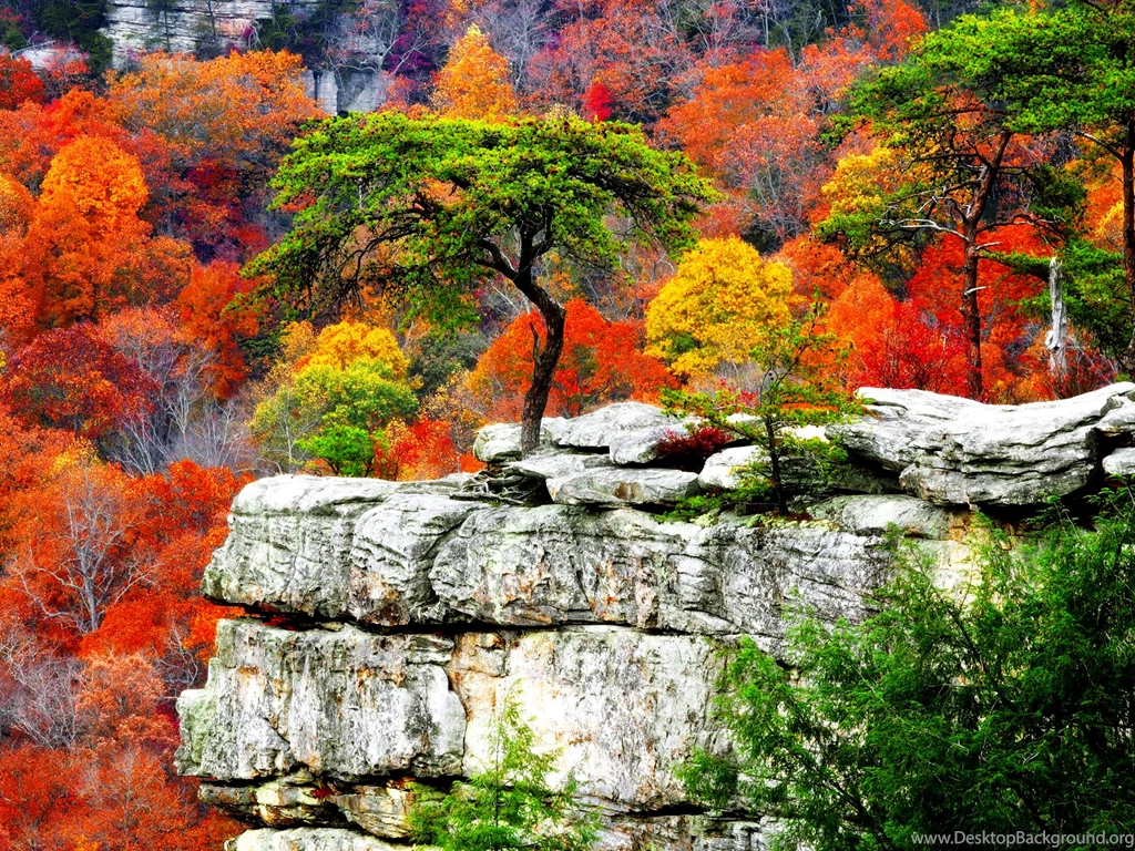 Free Fall Wallpapers Uwallo