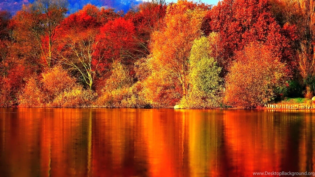 Autumn Wallpapers Hd