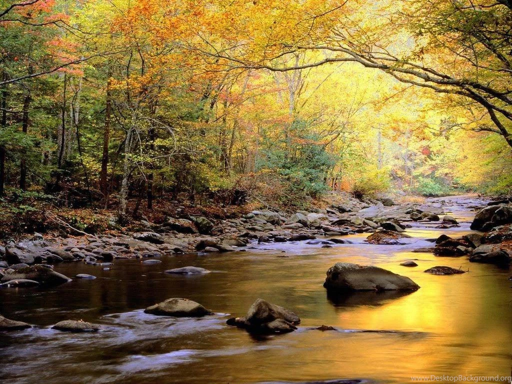 Autumn Wallpapers 056, Free Desktop Wallpapers, Cool Wallpapers