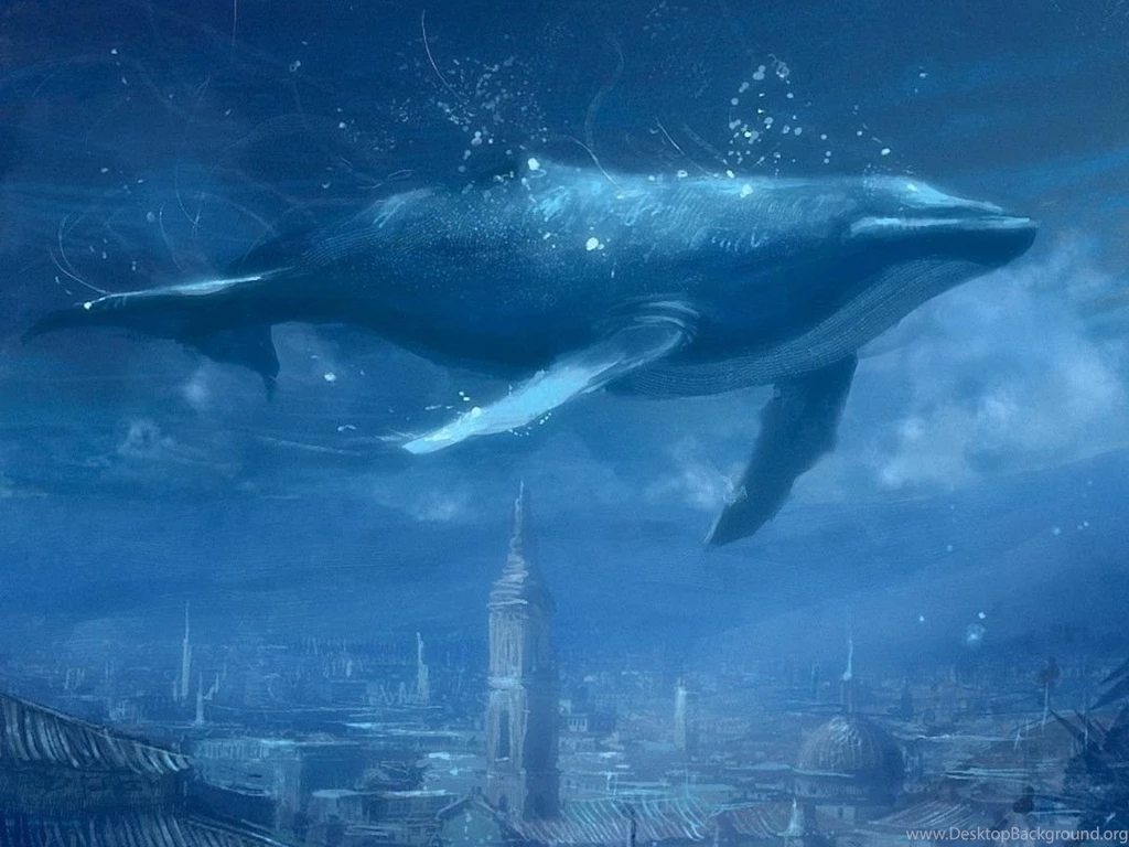 Blue Whale Wallpapers   Wallpapers Cave