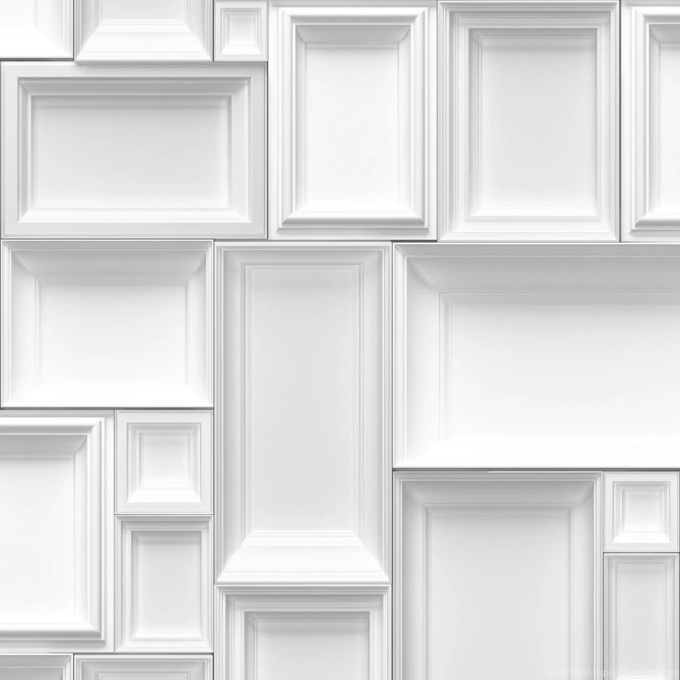 Animal Frames Wallpapers