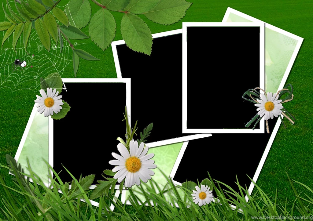 Photo Frames New Green Backgrounds