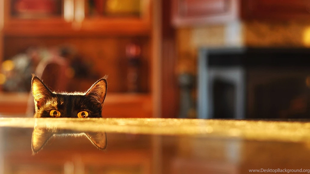 Metal Table Top Backgrounds With Table Top Backgrounds Wallpapers ...