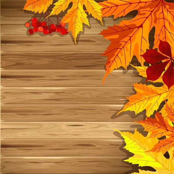 Gallery Backgrounds