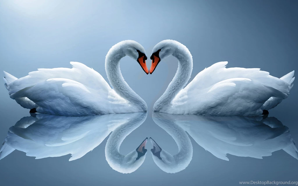 Quality Images Of Love Wallpapers, Wallpapers