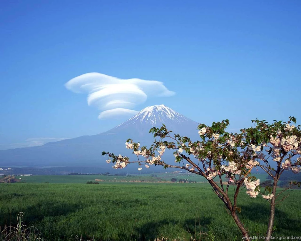 Beautiful Wallpapers Of Nature For Desktop Free Download