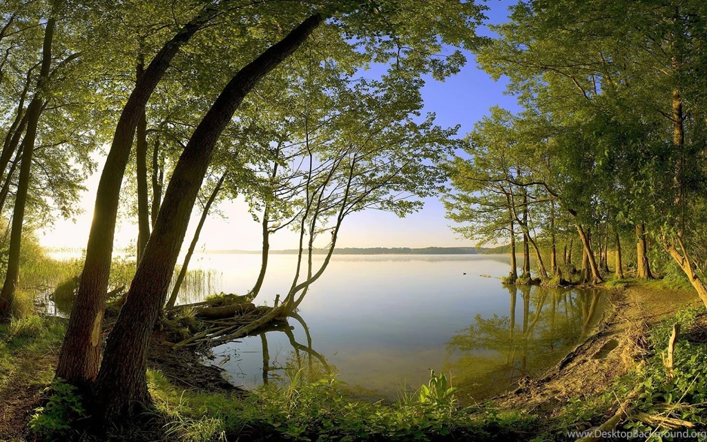 Beautiful Nature Wallpapers For Desktop Backgrounds