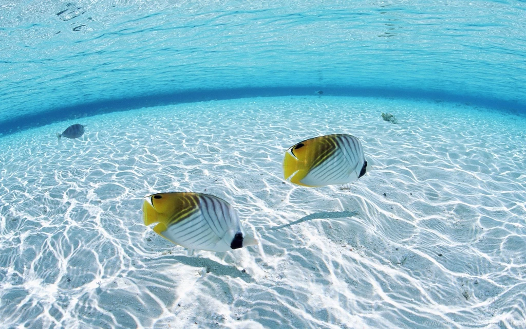 HD Crystal Clear Wallpapers