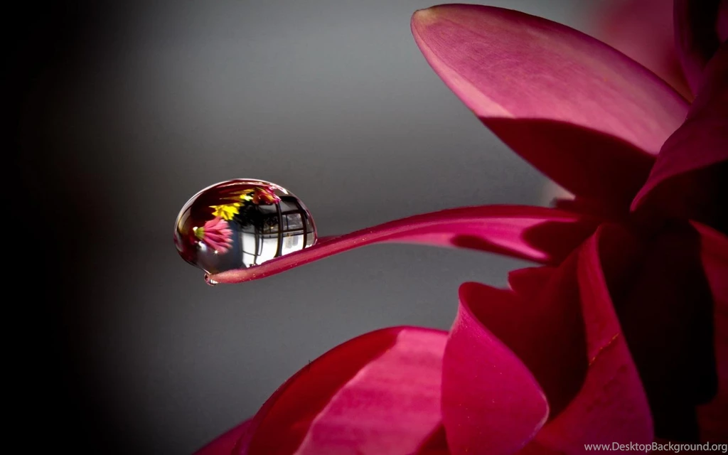 Crystal Clear Water Drops Wallpapers 1680x1050 Widescreen Hd ...