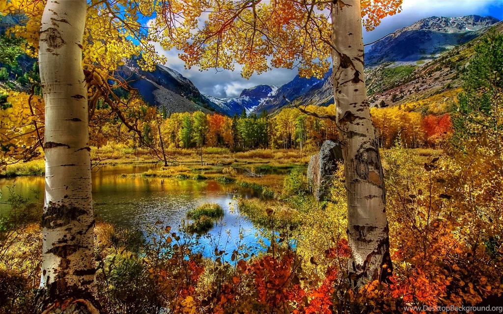 Autumn Mountain Wallpapers