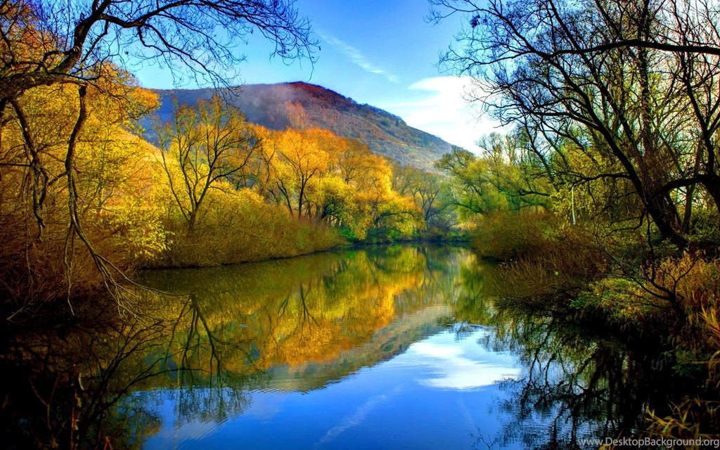 Autumn Mountain River   (