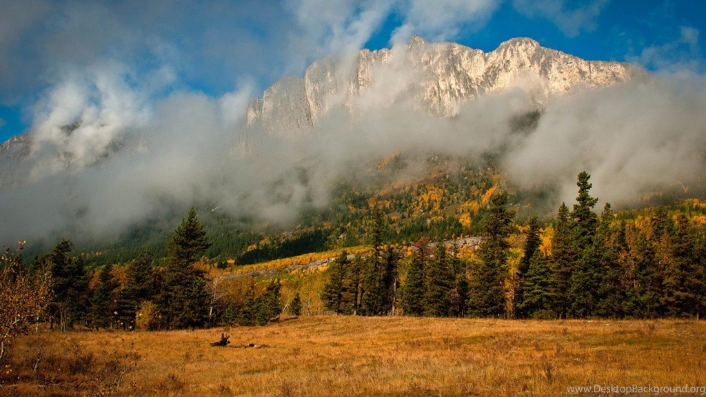 Download Desktop Wallpapers Autumn Mountain Forest Fog