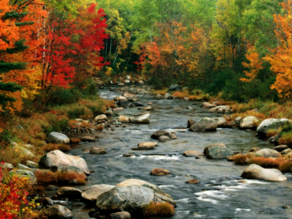 Autumn_Colors_White_Mountains_New_Hampshire.jpg