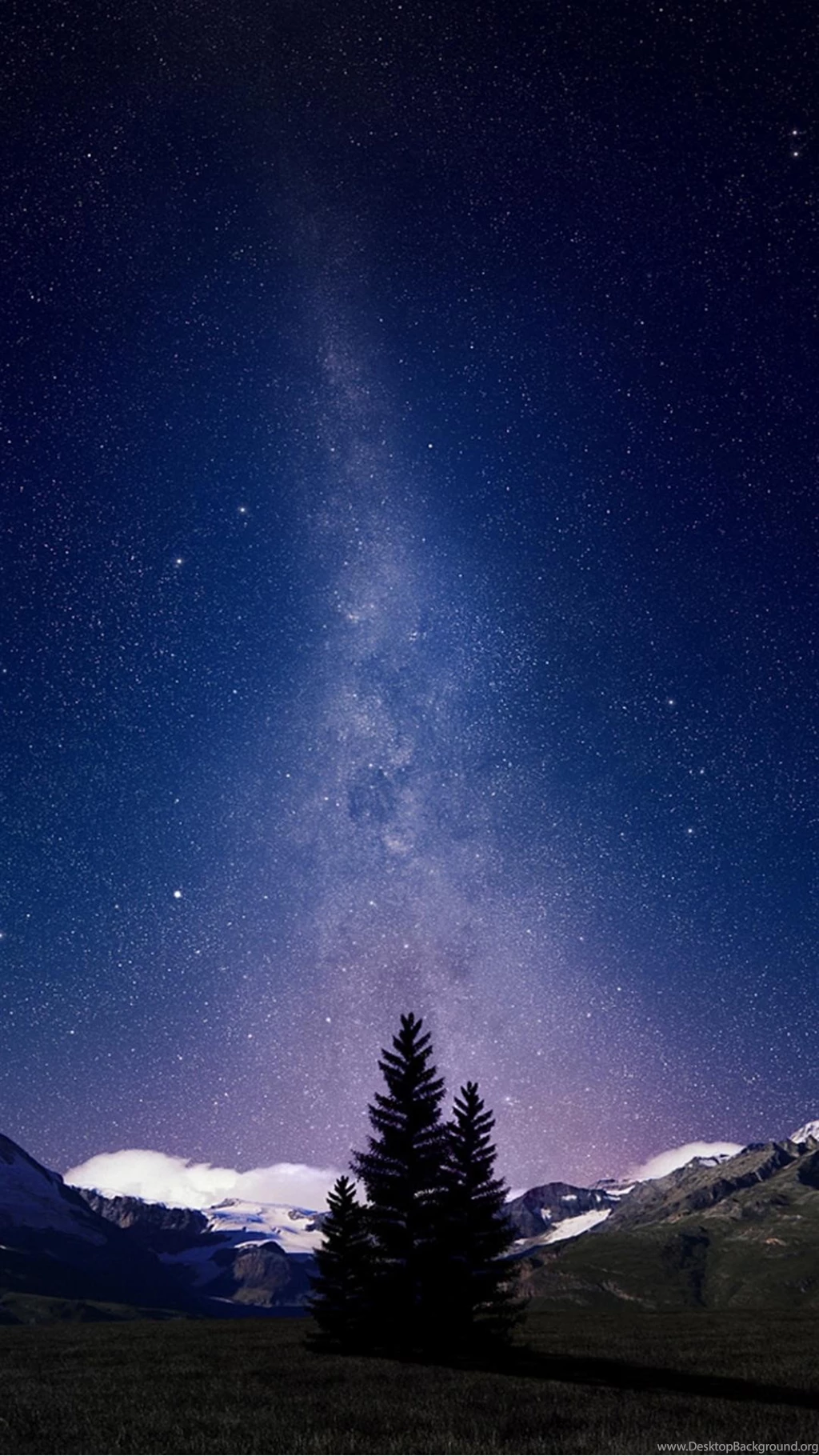 Beautiful Milky Way Lonely Tree