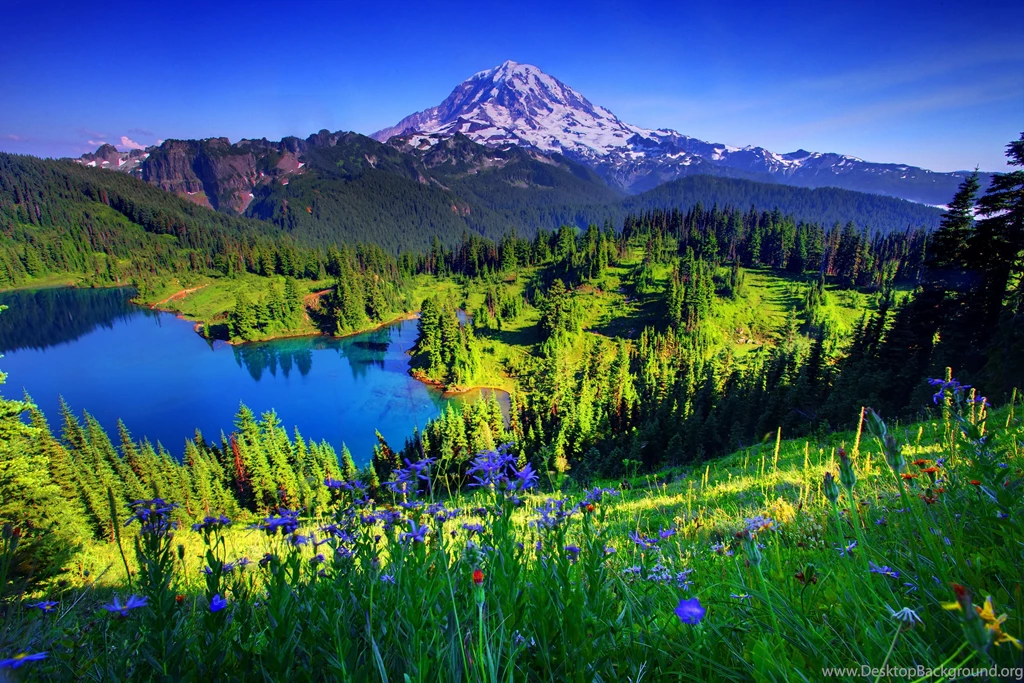 Lakes: Lake View Hills Serenity Crystal Clear Mountain Landscape ...