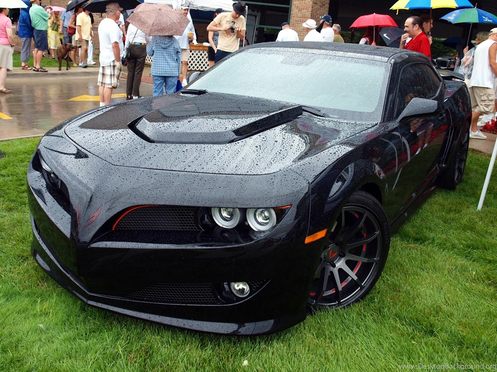 Wet Trans Am >> HD Wallpaper, Get It Now!