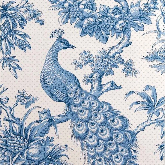 Wallpapers Bird Wallpapers Wallpapers Design Ideas Wallpapers . Bird ...