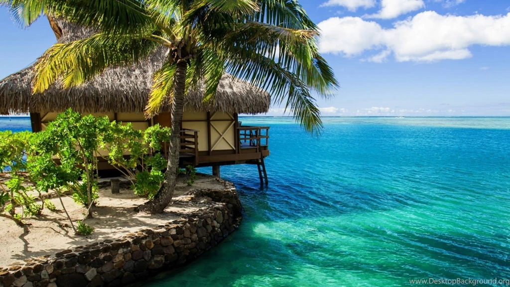 Download Free Modern Tropical The Wallpapers 1920x1200