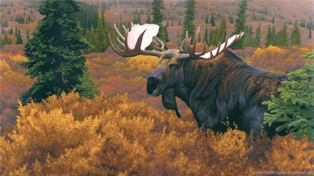 The Moose >> HD Wallpaper, Get It Now!