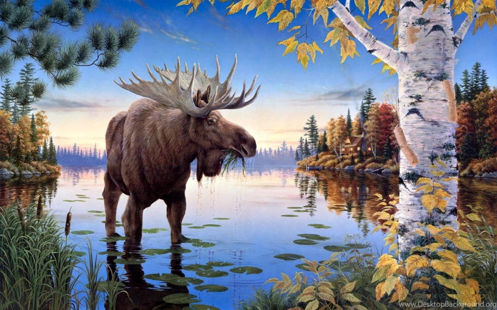 Free Moose Wallpapers