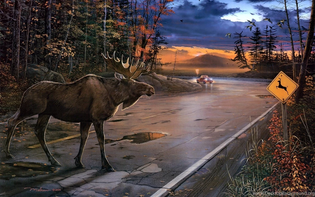 Download Alaska Moose Wallpapers Full HD