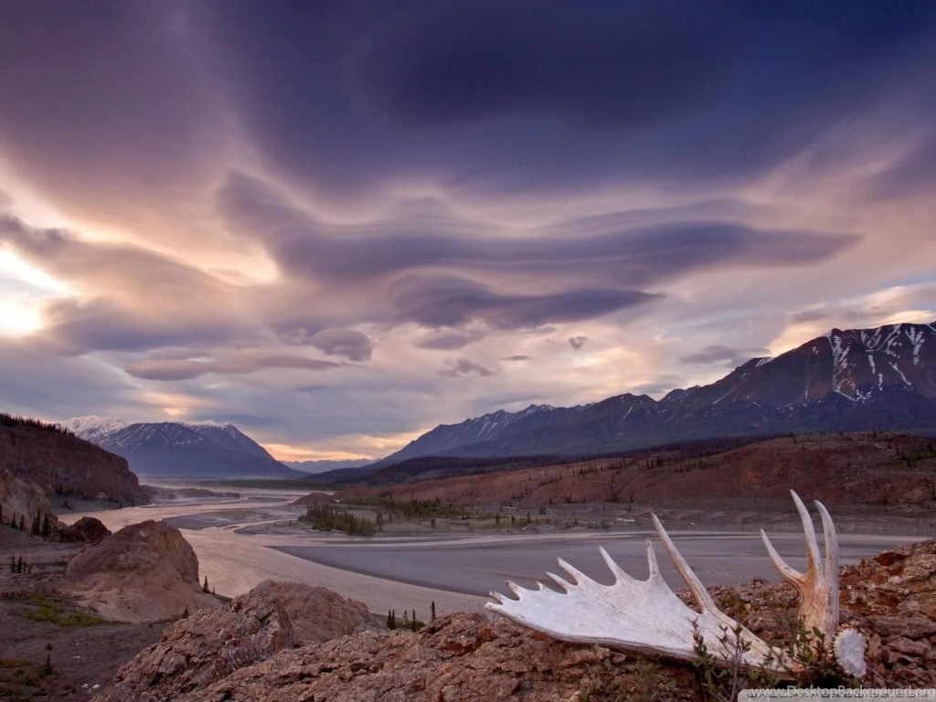 Moose Antler Alsek River Yukon Canada HD Desktop Wallpapers ...