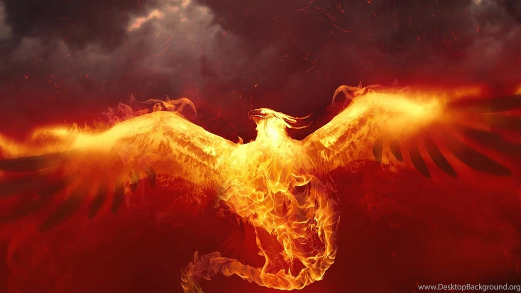 50+ Extremely Good Phoenix Wallpapers HD Over The Top Mag