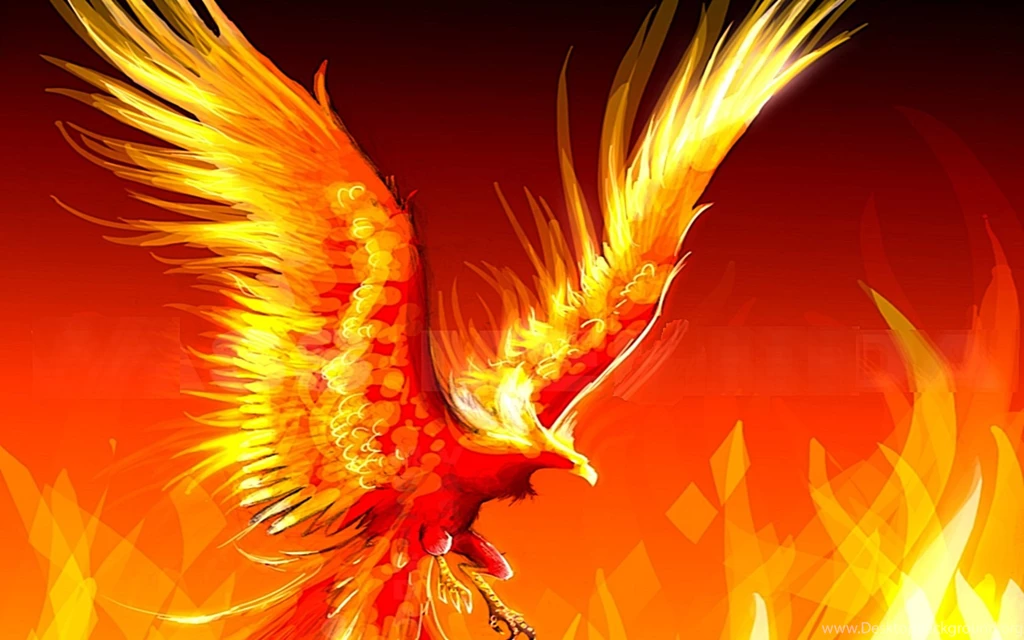 Wallpapers Phonix Phoenix 1680x1050