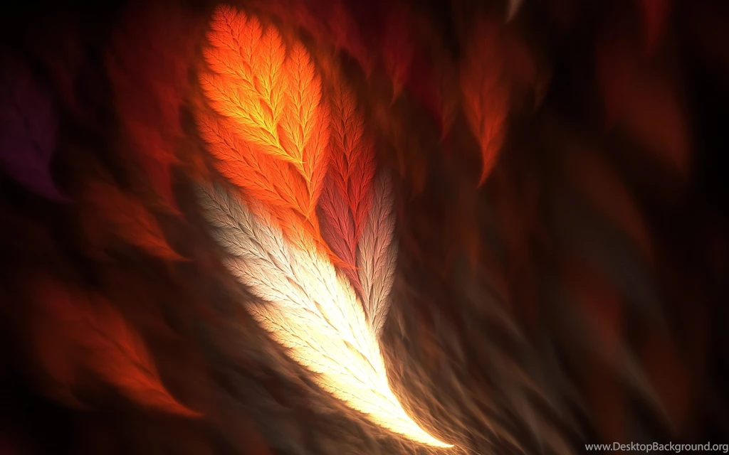 PHOENIX FEATHER Online Wallpapers HD